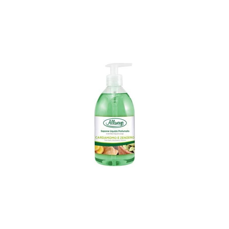 ALLWAYS SAPONE LIQUIDO 1LT CARDAM