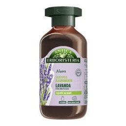 ANTICA ERBORISTERIA SHAMPOO LAVANDA ML.250