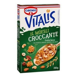 CAMEO VITALIS 310GR FRUTTA SECCA
