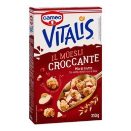 CAMEO VITALIS 310GR MIX FRUTTA