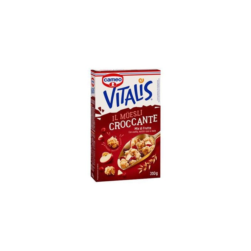 CAMEO VITALIS 310GR MIX FRUTTA