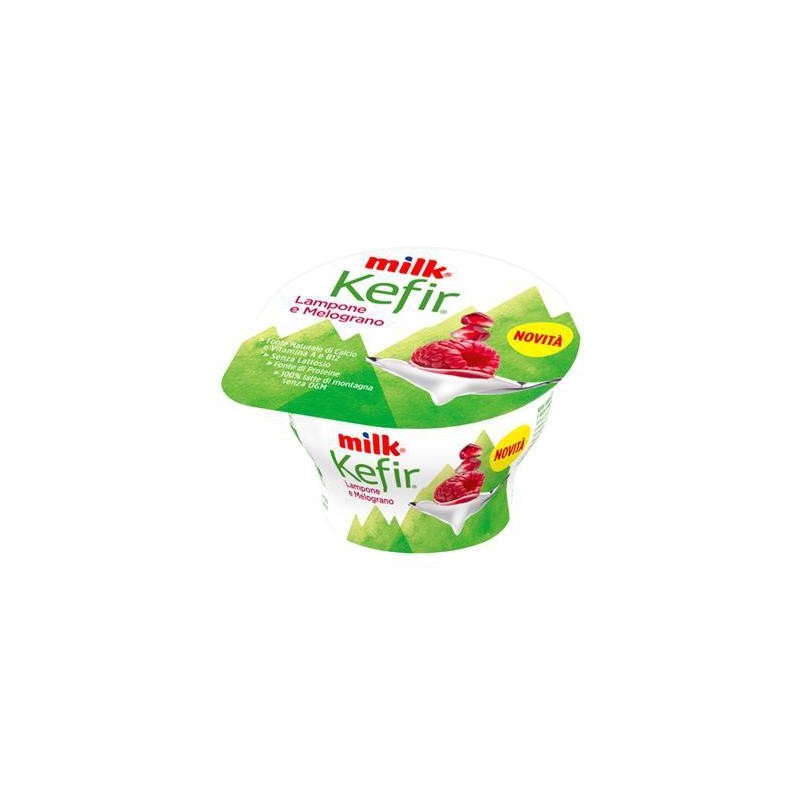 MILK KEFIR CREMOSO 150 GR MELOG/LAMPONE