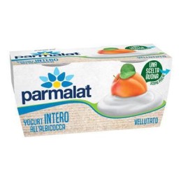 PARMALAT YOGURT 2 X 125GR INTERO ALBICOCCA