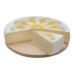 CAMOSCIO D'ORO FORMA 2.5KG