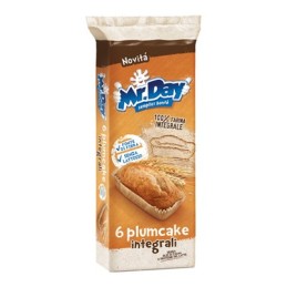 MR DAY PLUMCAKE INTEGRALE x6