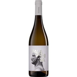 TEANUM FALANGHINA 13° CL.75