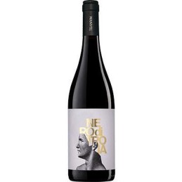 TEANUM NERO DI TROIA 13° CL.75