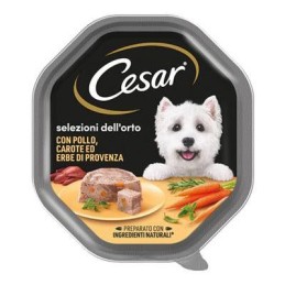 CESAR 150 GR POLLO CAROTE