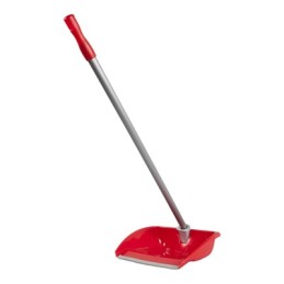 TONKITA ALZAIMMONDIZIA RECLIN.