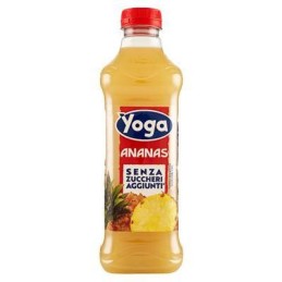 YOGA BOTT. S/ZUCCH. ANANAS LT.1