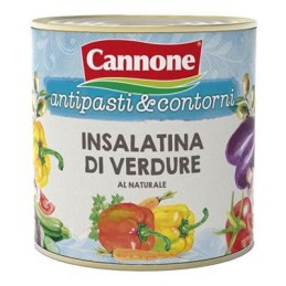 CANNONE INSALATINA DI VERDUREKG.2650
