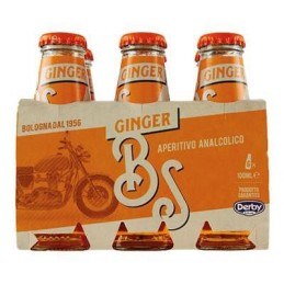 B.S. 6 X 100ML GINGER