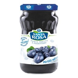 SANTA ROSA CONFETTURA DELIZIE GR.350 MIRTILLI