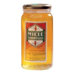 AMBROSOLI MIELE 250GR