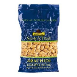 MISTER NUT ARACHIDI TOSTATE SALATE 250GR
