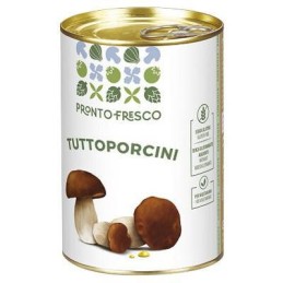 PRONTO FRESCO TUTTOPORCINI ML.425
