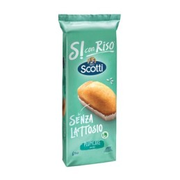 SCOTTI PLUMCAKE CON RISO