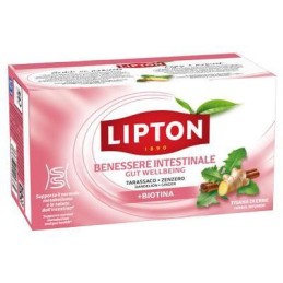 LIPTON TISANA BENESS.INTES.X17 FILTRI