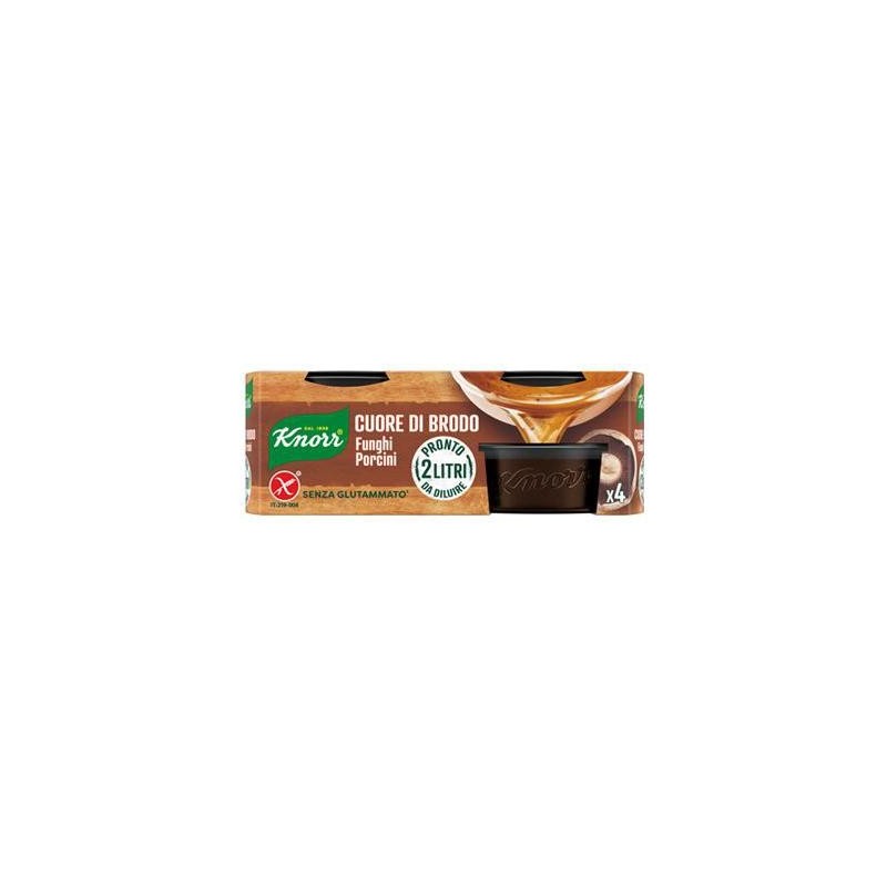 KNORR CUORE BRODO FUNGHI PORCINI GR.112X4