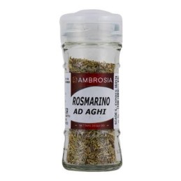 AMBROSIA VV ROSMARINO AGHI GR.25VASO VETRO