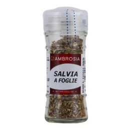 AMBROSIA VV SALVIA FOGLIE GR.15 VASO VETRO