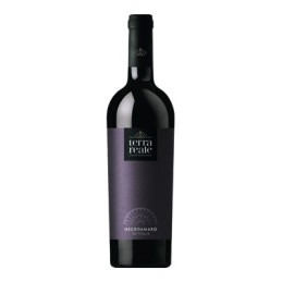 TERRA REALE NEGROAMARO 12° CL.75