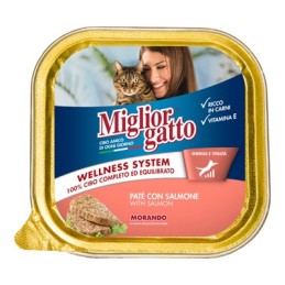 MIGLIOR GATTO VASC. 100GR SALMONE