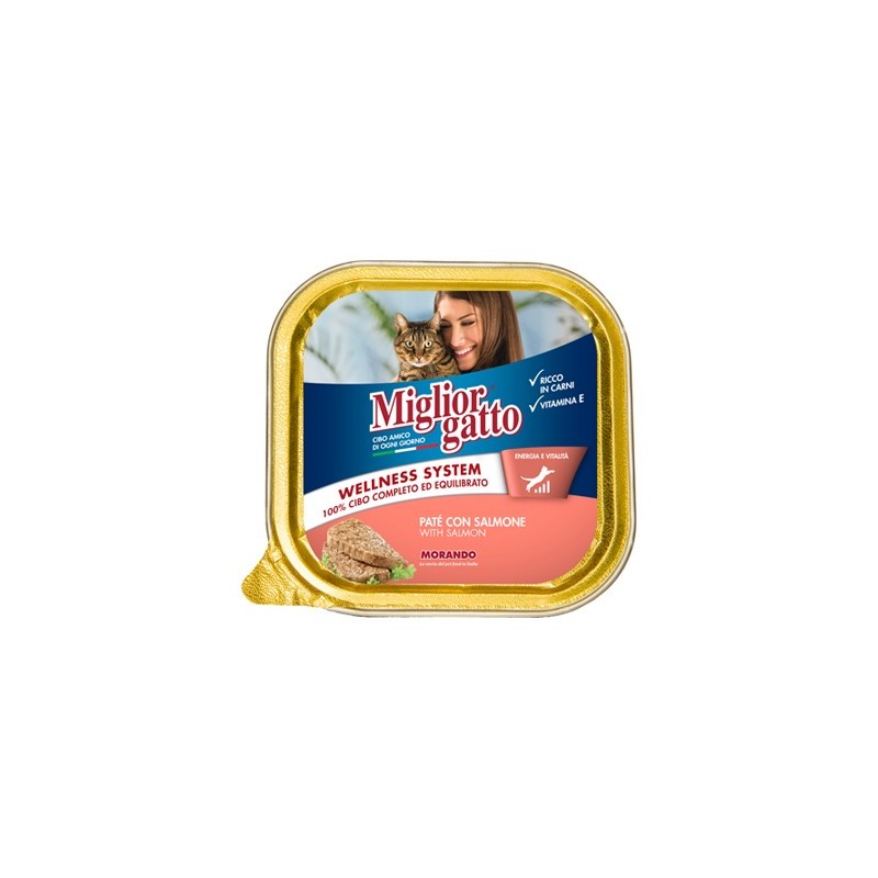 MIGLIOR GATTO VASC. 100GR SALMONE